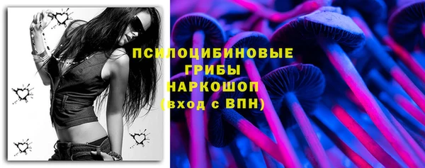 прущие крисы Богданович
