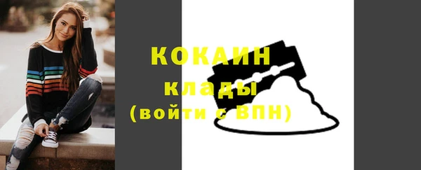 твердый Богородск