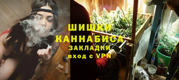МДПВ Богородицк